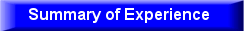 Summary of Experience